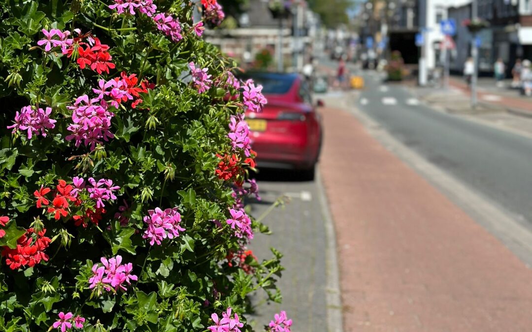 De Havenstraat staat in bloei!